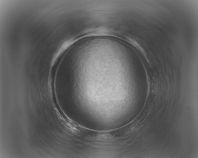 X0000057581464200509191438