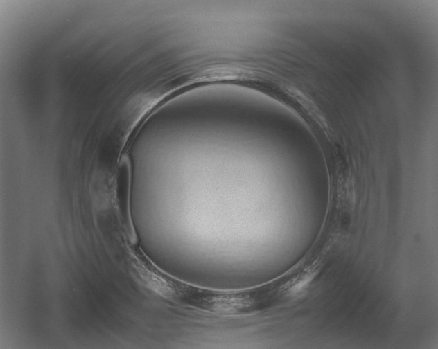 X0000057581465200509191438
