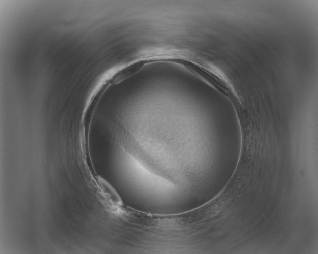 X0000057581472200509191438