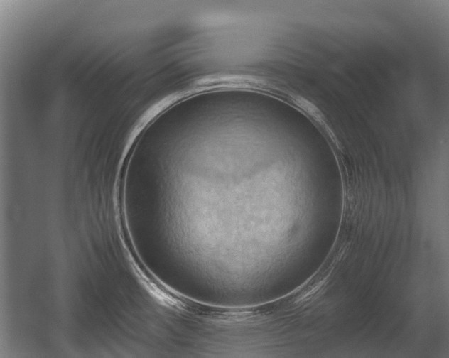 X0000057581482200509191438
