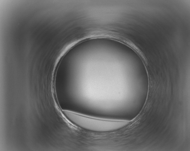 X0000057581485200509191438