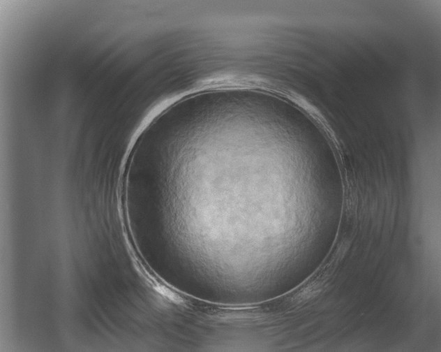 X0000057581486200509191438