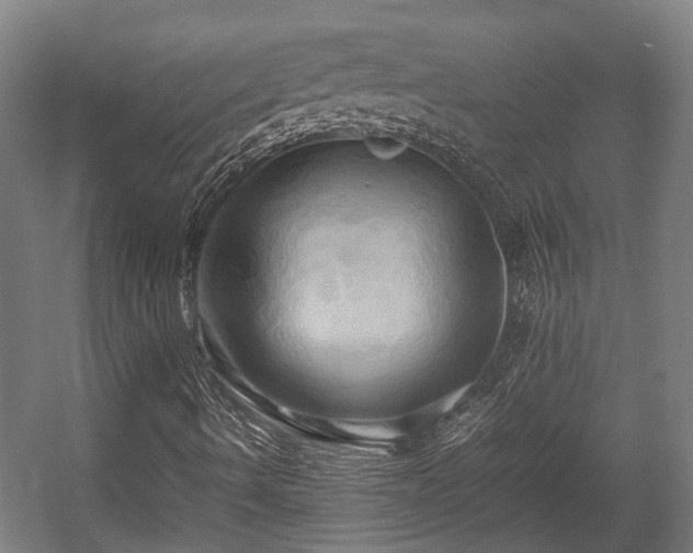 X0000057581490200509191437