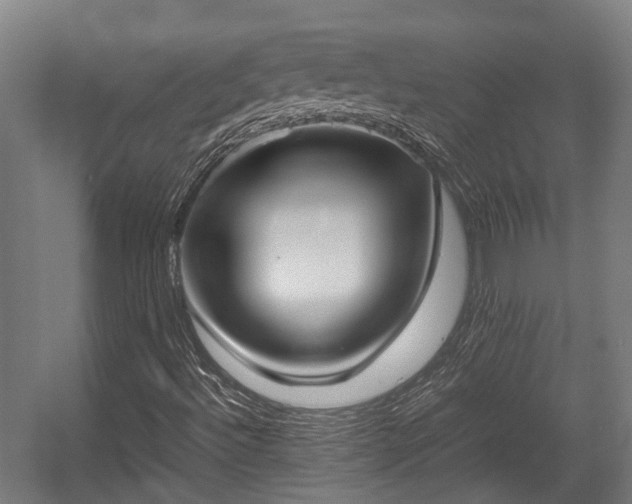 X0000057581492200509191437