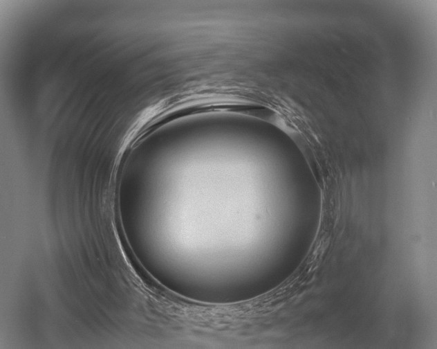 X0000057580003200509231304