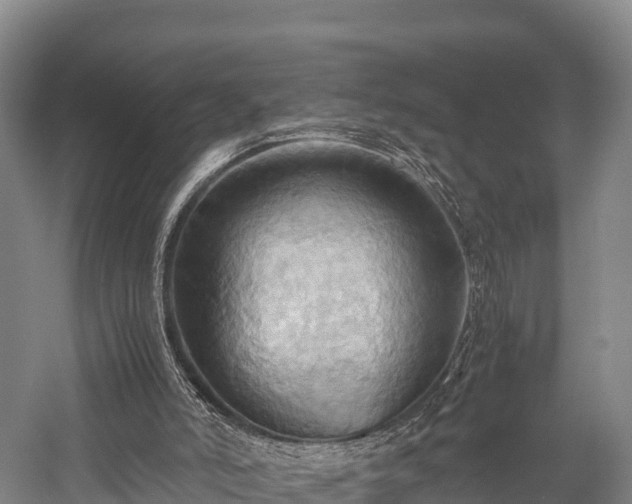 X0000057580006200509231304