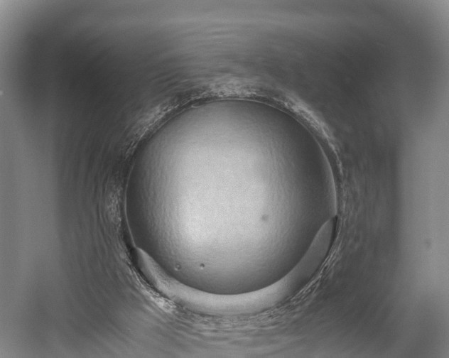 X0000057580009200509231304