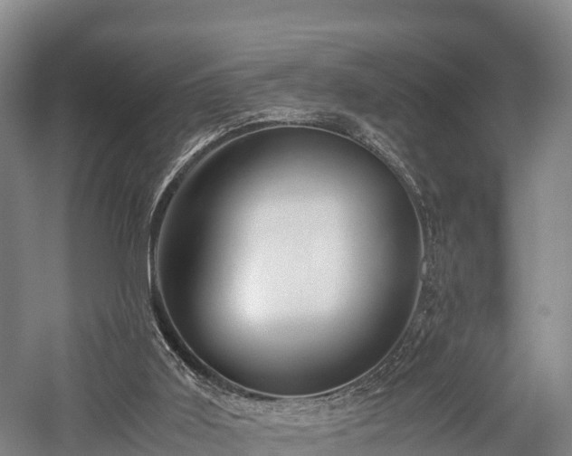 X0000057580011200509231304