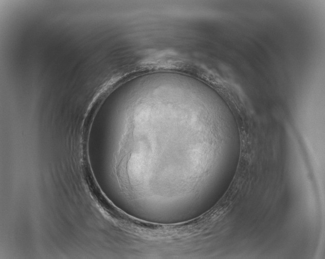 X0000057580012200509231304