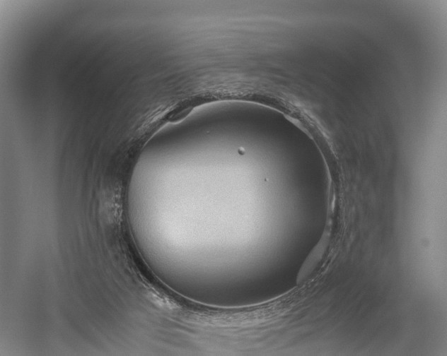 X0000057580017200509231303