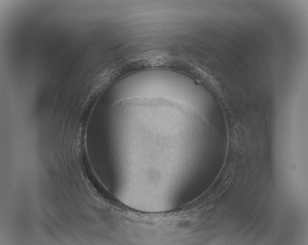 X0000057580018200509231303