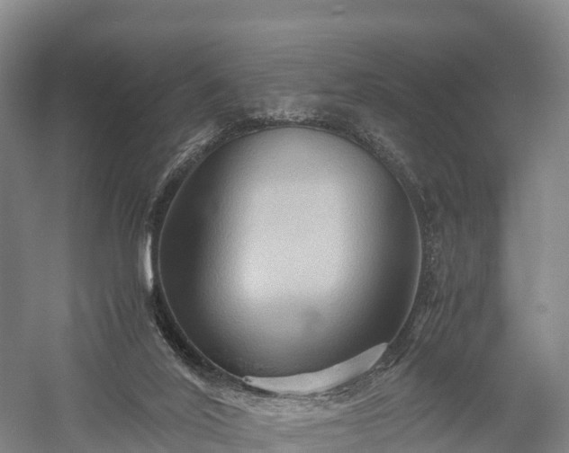 X0000057580020200509231303