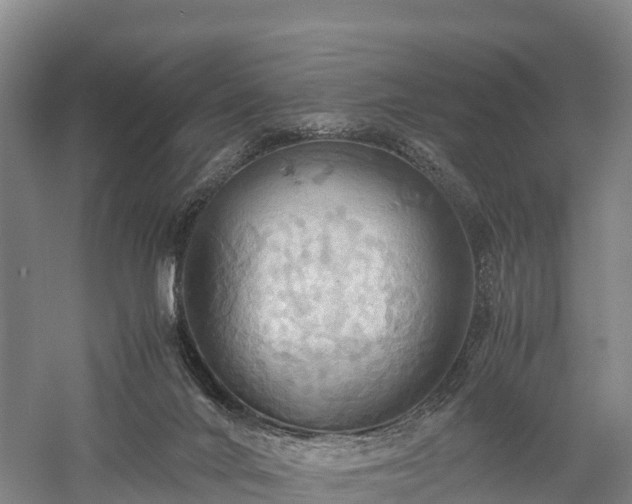 X0000057580024200509231303