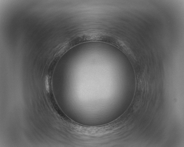 X0000057580026200509231303