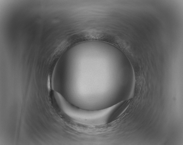 X0000057580027200509231303