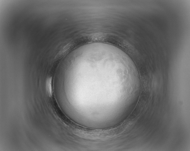 X0000057580028200509231303