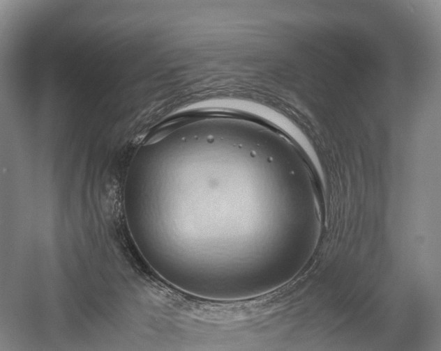 X0000057580029200509231303