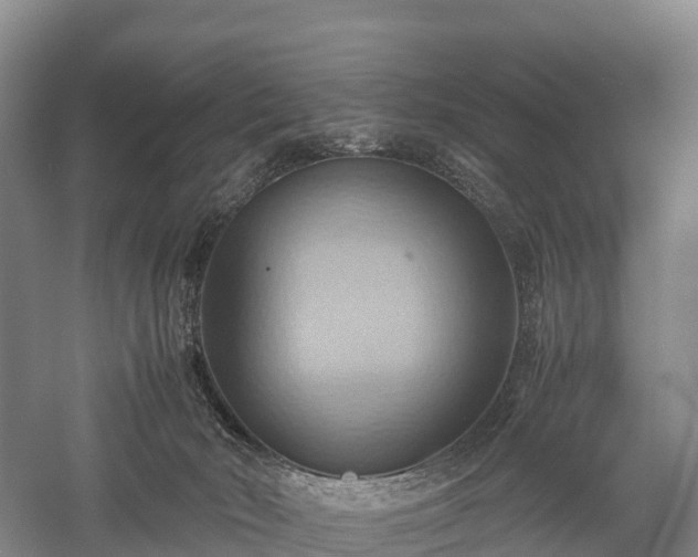 X0000057580030200509231303