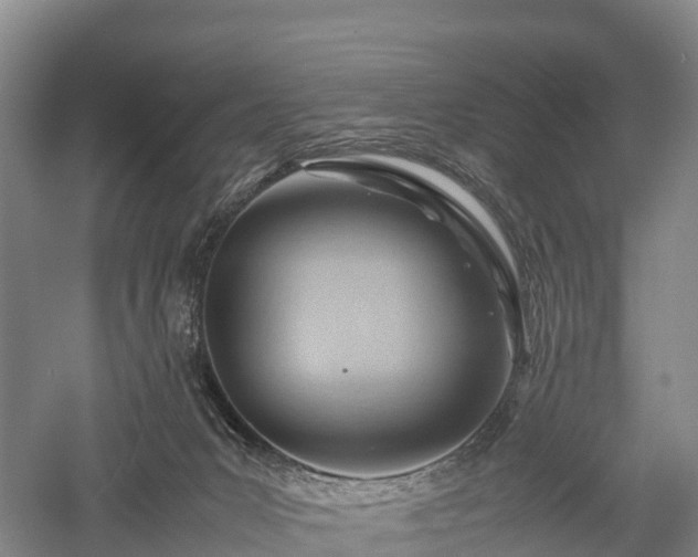 X0000057580031200509231303