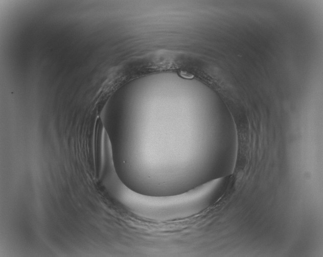 X0000057580035200509231303