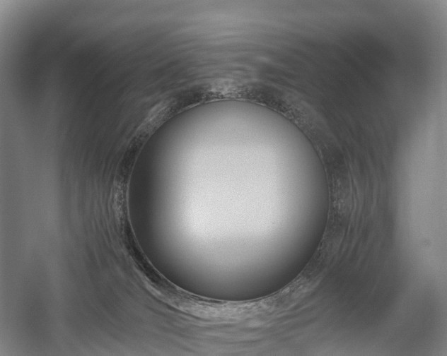 X0000057580036200509231303