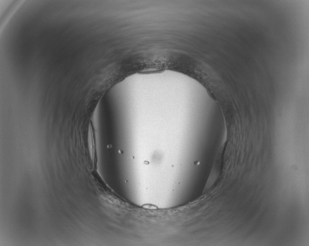 X0000057580037200509231303