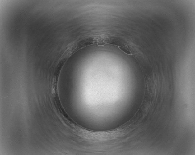 X0000057580038200509231303