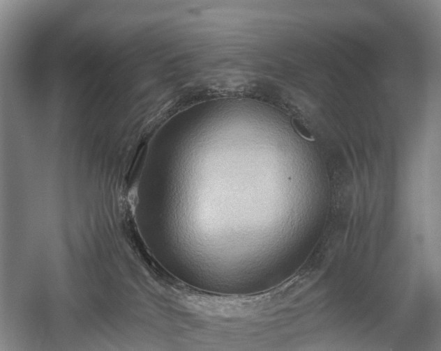 X0000057580040200509231303