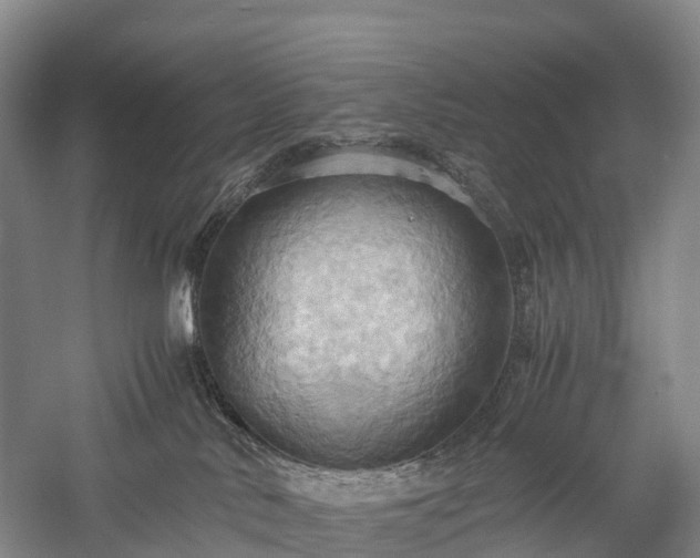 X0000057580042200509231303