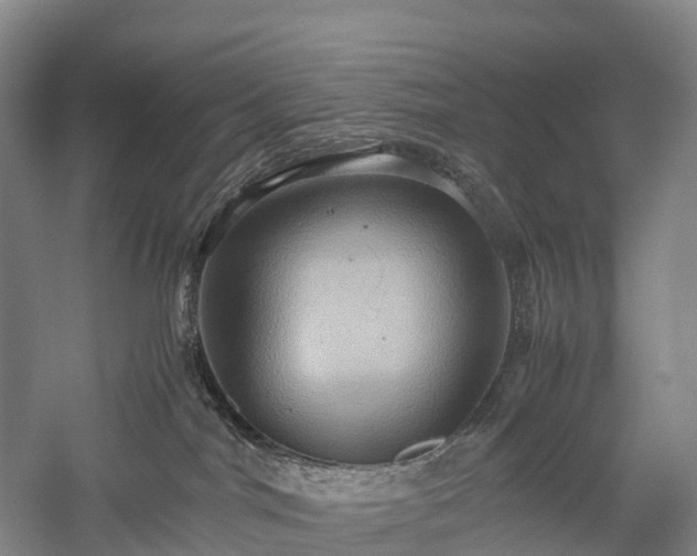 X0000057580044200509231303