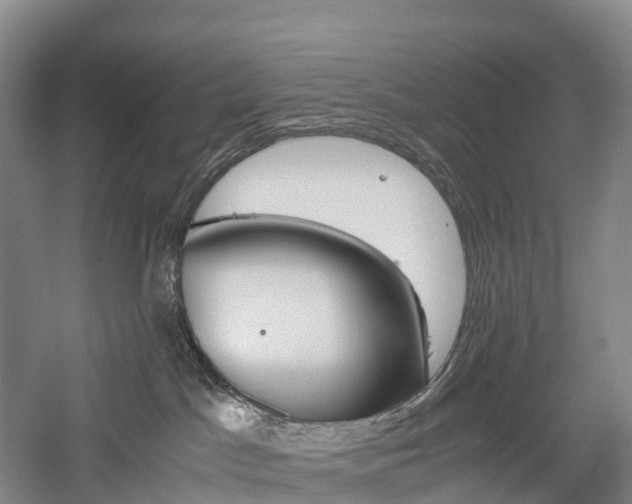 X0000057580045200509231303