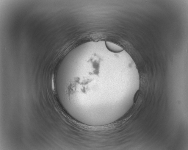 X0000057580046200509231303