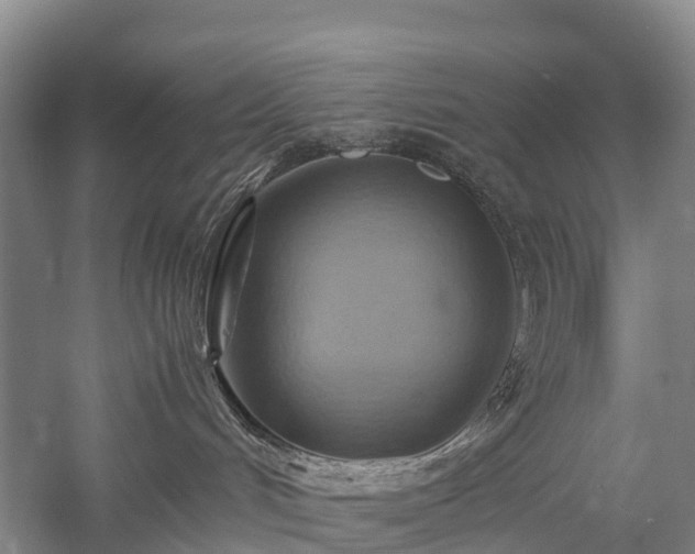 X0000057580048200509231303