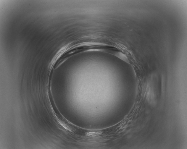 X0000057580051200509231302