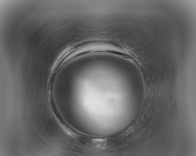 X0000057580053200509231302