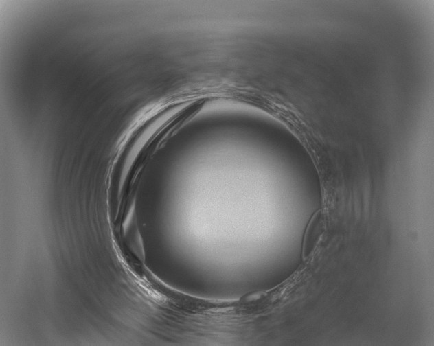 X0000057580054200509231302