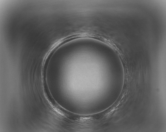 X0000057580055200509231302