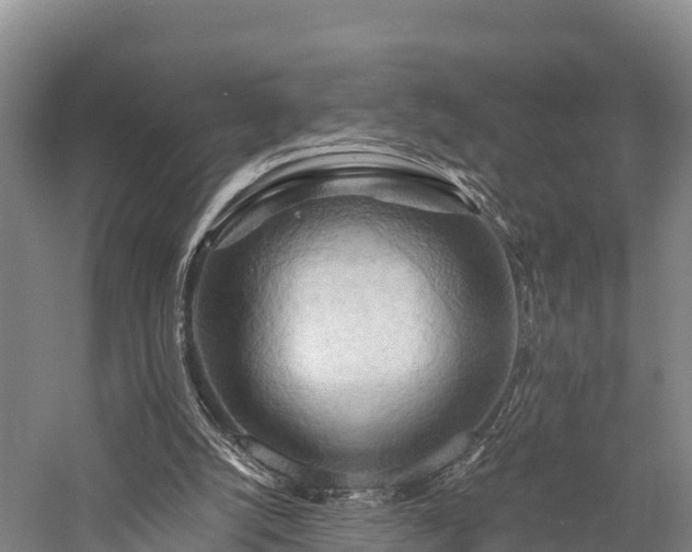 X0000057580056200509231302