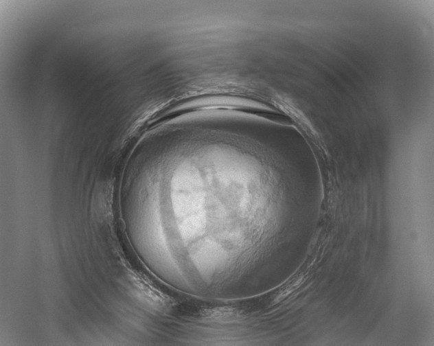 X0000057580058200509231302