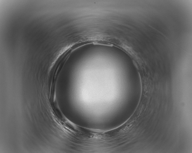 X0000057580060200509231302