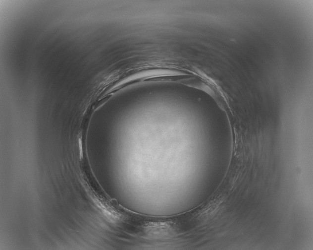 X0000057580061200509231302