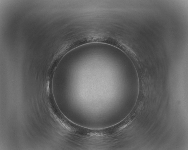 X0000057580067200509231302