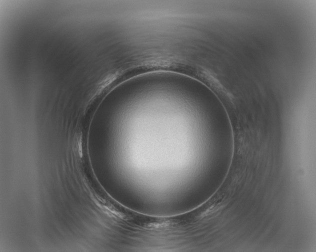 X0000057580068200509231302