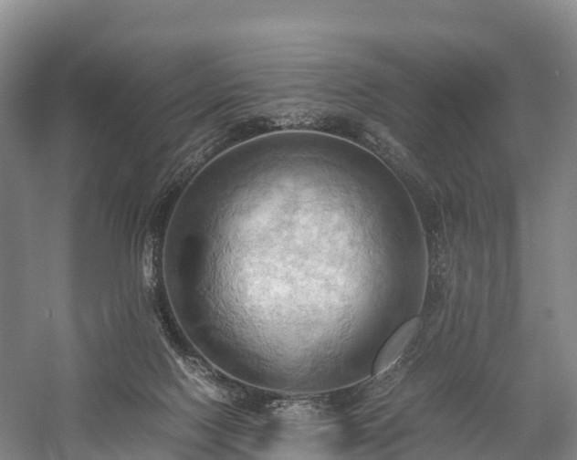 X0000057580074200509231303