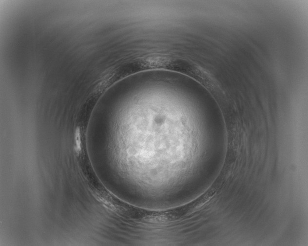 X0000057580075200509231303