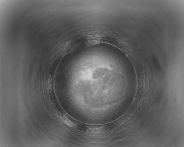 X0000057580081200509231303