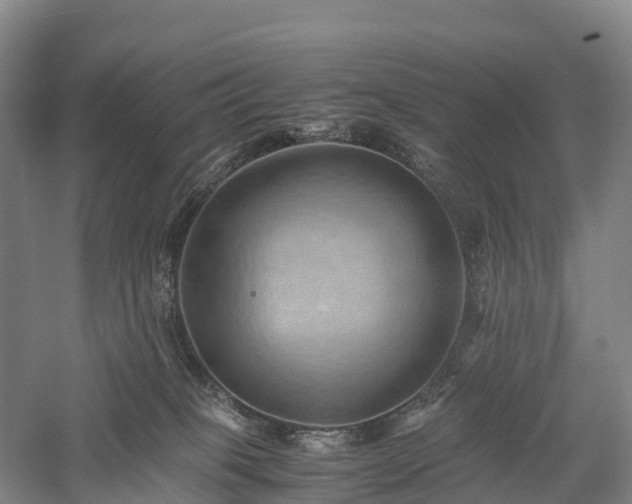 X0000057580085200509231303