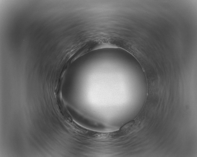 X0000057580088200509231303