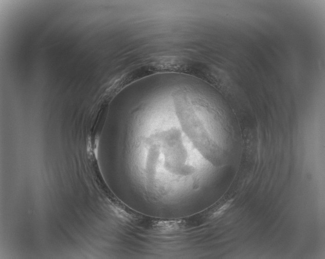 X0000057580089200509231303