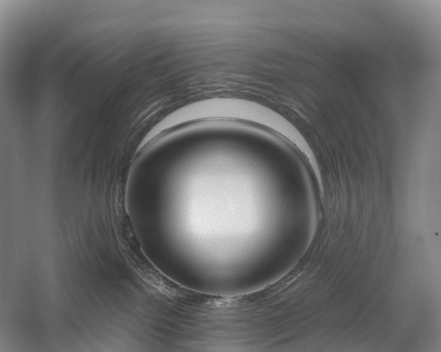 X0000057580092200509231303